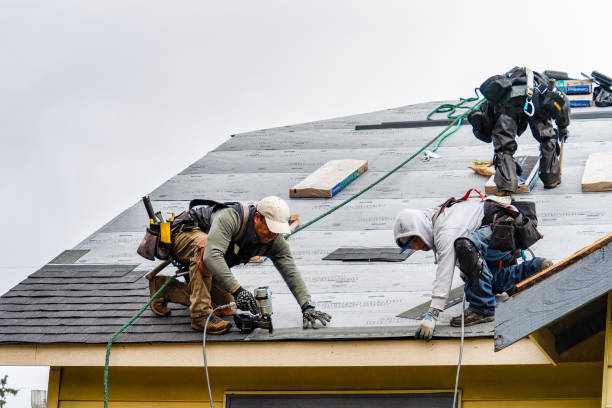 Professional Gutter Installation technician working in Faunsdale, AL